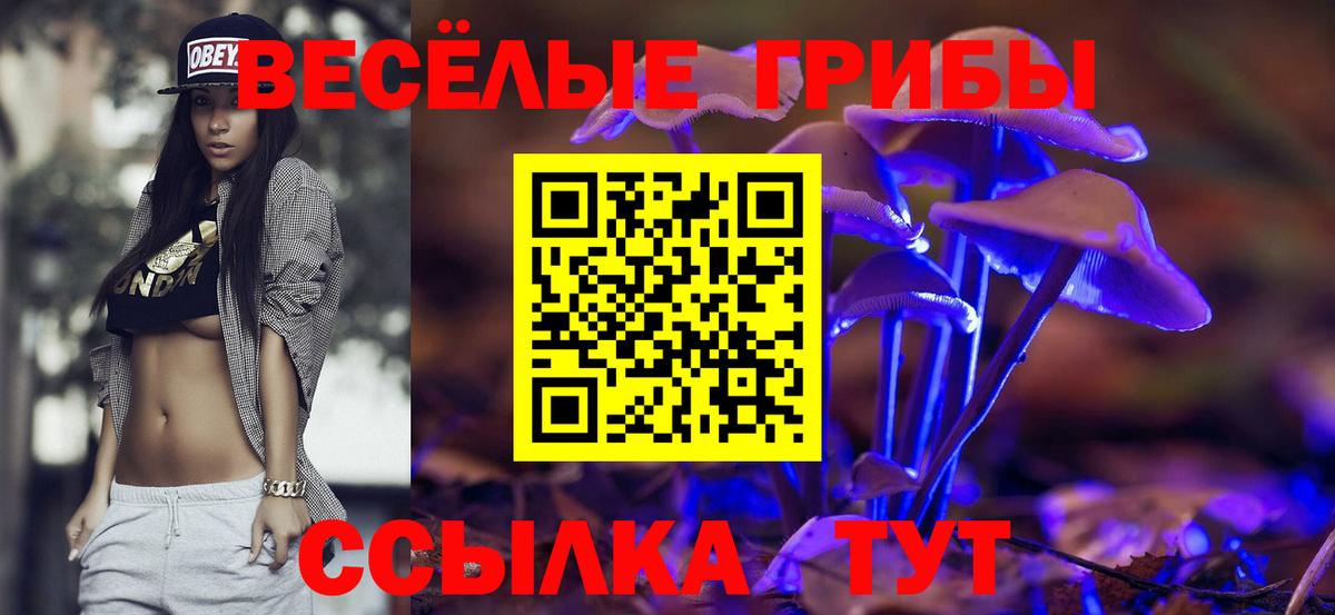 наркотики  Вход с VPN  Осинники  Псилоцибиновые грибы MAGIC MUSHROOMS  Галлюциногенные грибы MAGIC MUSHROOMS 